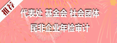 代表处年检 基金会审计 社会团体审计 民非企业年检审计